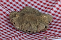 VBS_5543 - 10.ma Fiera Nazionale del Tartufo e Fiera dei Santi